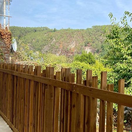 Magnifique Appartement 2/4 Pers - Le Saint Leo Εξωτερικό φωτογραφία