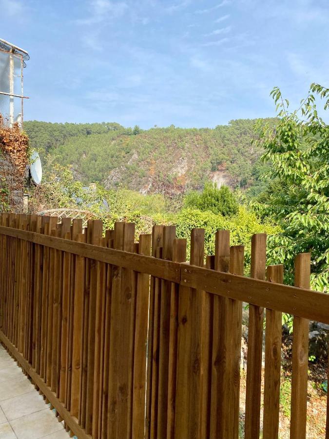 Magnifique Appartement 2/4 Pers - Le Saint Leo Εξωτερικό φωτογραφία